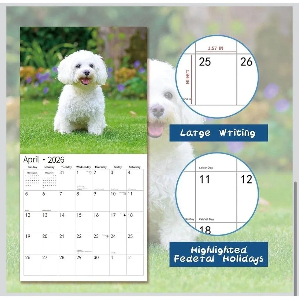 2026 Maltese Wall Calendar, 18-Month (July 2025 - December 2026) Dog Breed